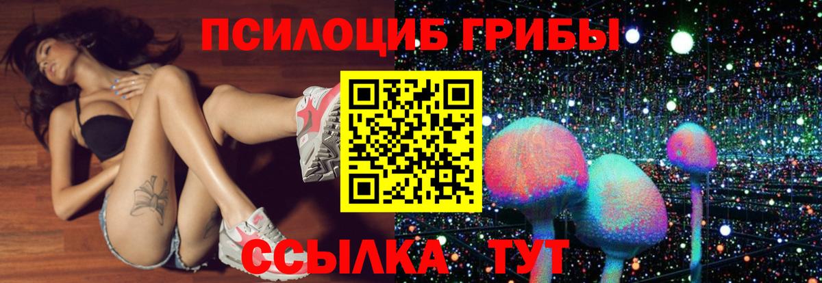Коряжма  Псилоцибиновые грибы MAGIC MUSHROOMS  Галлюциногенные грибы GOLDEN TEACHER  Вход с VPN 
